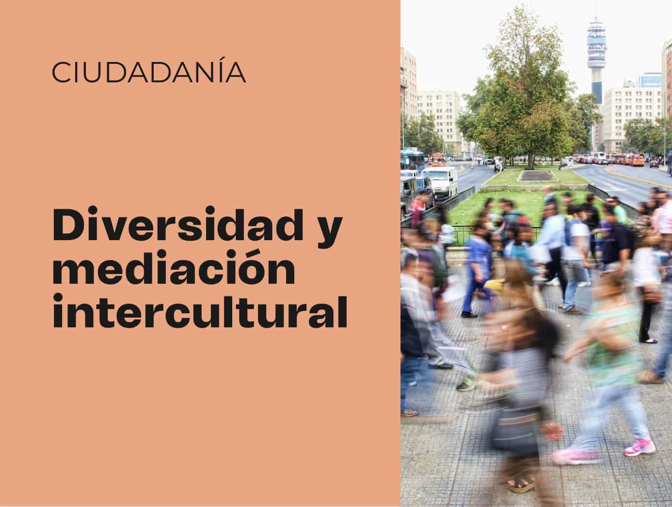 Diversidad Y Mediaci N Intercultural Ecca Edu