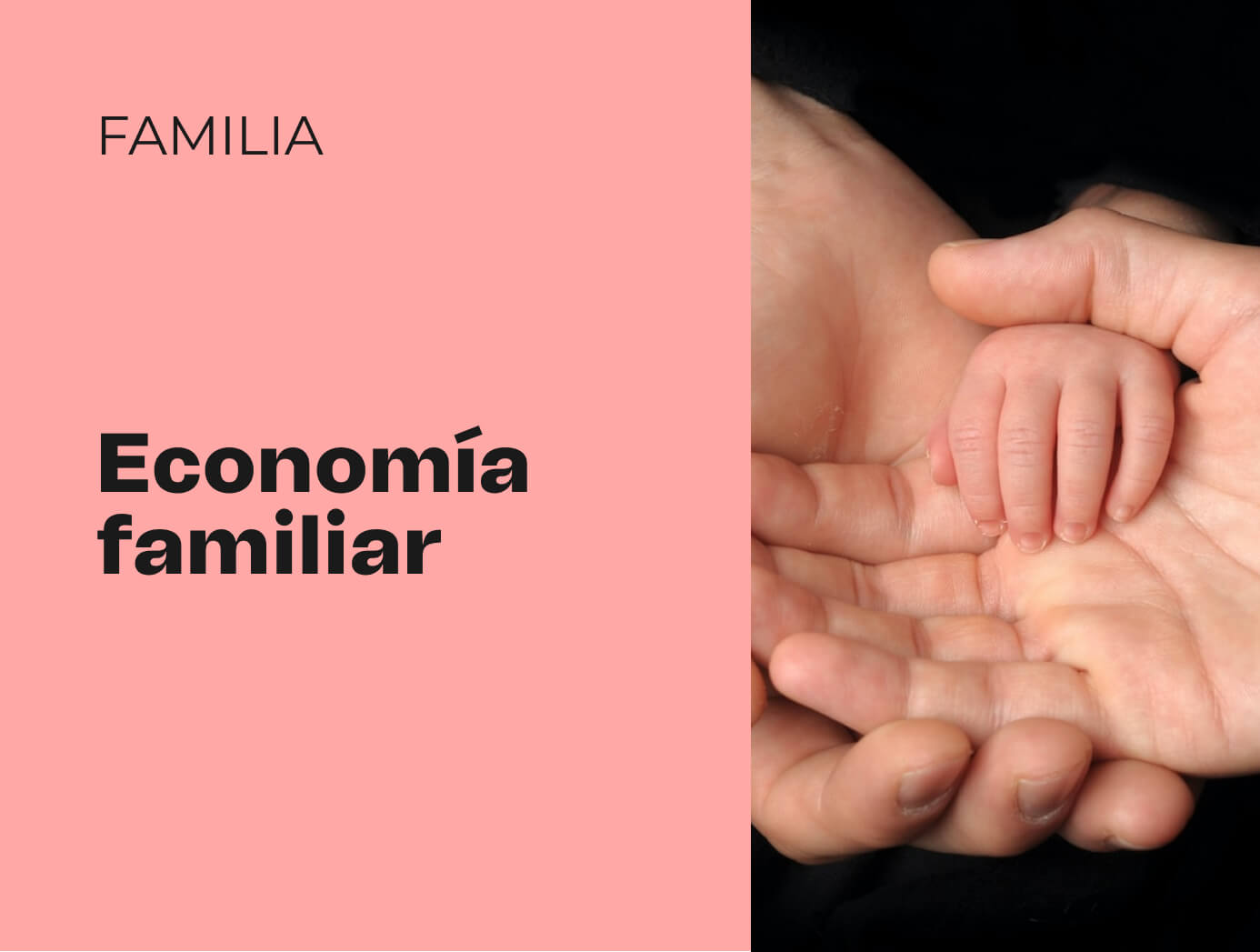 Economia familiar