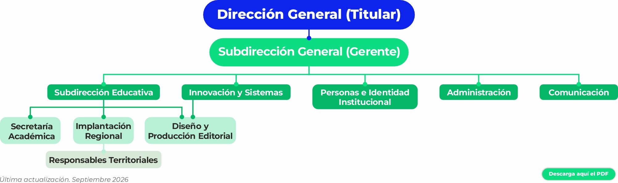 Organigrama ecca.edu actualizado en septiembre 2026